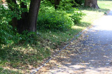 kaldırım-yayalar için bir yol, kaldırım sadece yayalar için; Araçların kaldırımlar boyunca hareketi yasaktır. 