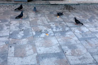 kaldırım-yayalar için bir yol, kaldırım sadece yayalar için; Araçların kaldırımlar boyunca hareketi yasaktır. 