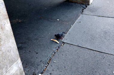 kaldırım-yayalar için bir yol, kaldırım sadece yayalar için; Araçların kaldırımlar boyunca hareketi yasaktır. 