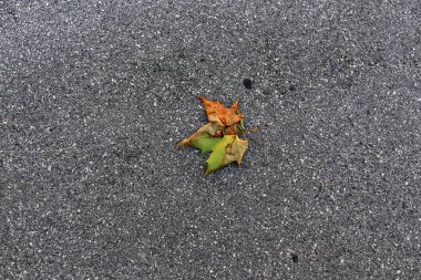 kaldırım-yayalar için bir yol, kaldırım sadece yayalar için; Araçların kaldırımlar boyunca hareketi yasaktır. 