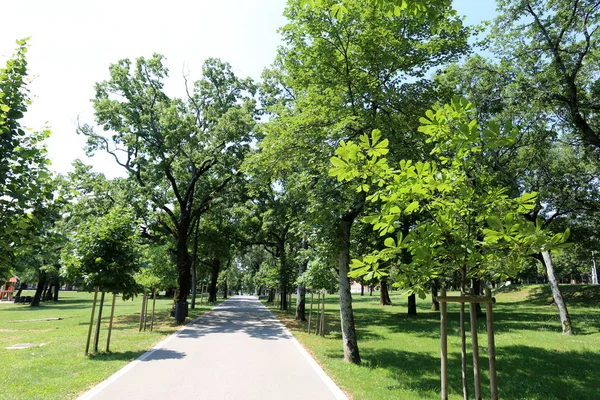 Pavimento Uma Estrada Para Pedestres Pavimento Apenas Para Pedestres Movimento — Fotografia de Stock