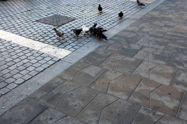 Pavimento Uma Estrada Para Pedestres Pavimento Apenas Para Pedestres Movimento — Fotografia de Stock