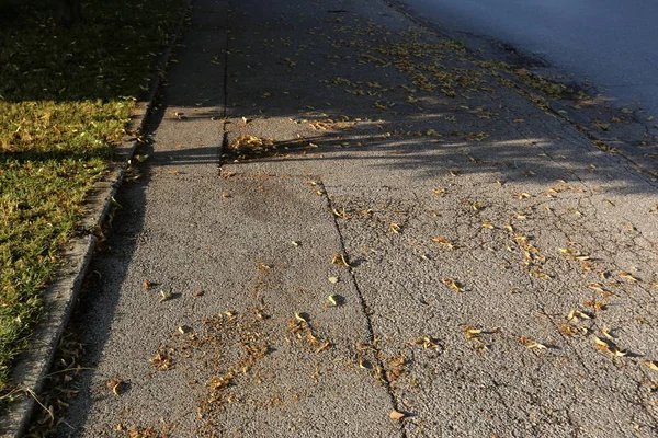 Bestrating Een Weg Voor Voetgangers Stoep Alleen Voor Voetgangers Het — Stockfoto