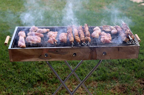 Κρέας Και Λαχανικά Είναι Ψημένα Κάρβουνα Αναμμένα Κάρβουνα — Φωτογραφία Αρχείου