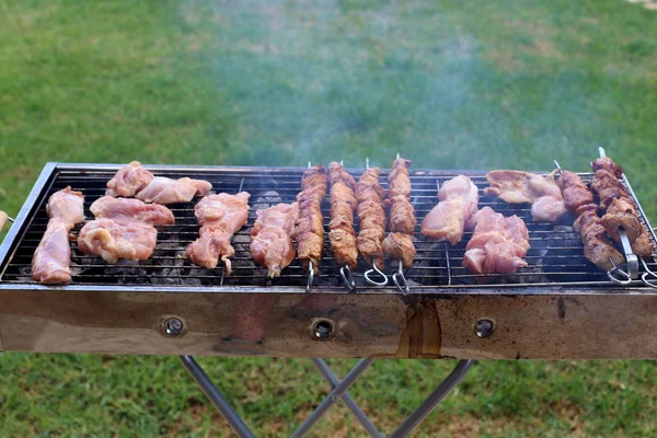 肉と野菜は炭炭火で焙煎されています — ストック写真