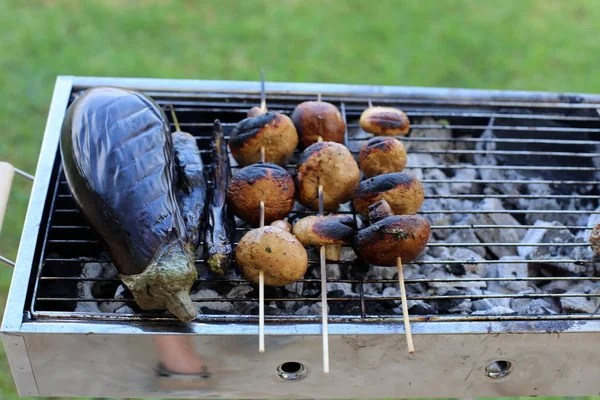 고기와 뜨거운 석탄에 — 스톡 사진