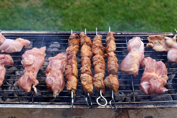 Meat Vegetables Roasted Charcoal Hot Coals — Stock Photo, Image