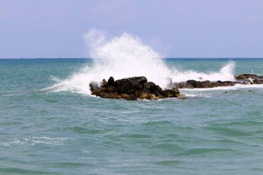 İsrail 'in kuzeyindeki Akdeniz kıyısında. 
