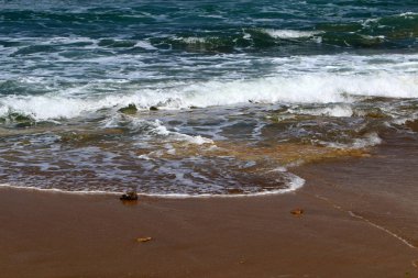 İsrail 'in kuzeyindeki Akdeniz kıyısında. 