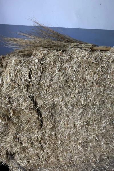 Dry Straw Hay Prepared Animal Feed — Stock Photo, Image