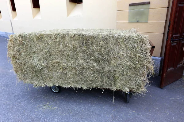 Palha Seca Feno São Preparados Para Alimentação Animal — Fotografia de Stock