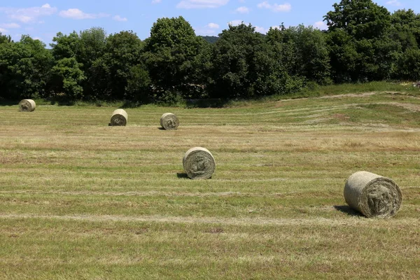 Torr Halm Och Förberedda För Djurfoder — Stockfoto