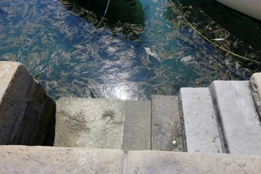 Merdiven - fonksiyonel ve yapısal öğesi dikey bağlantılar sağlayan yapısı 