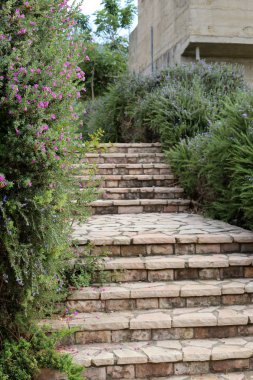 Merdiven - fonksiyonel ve yapısal öğesi dikey bağlantılar sağlayan yapısı 