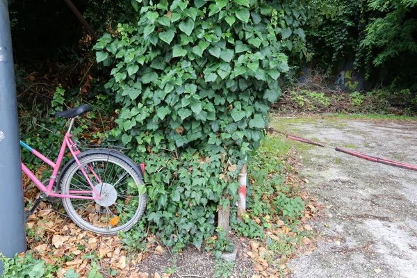Bir bisiklet bir kişi kas gücüyle ayak pedalları ile tahrik bir tekerlekli araçtır 