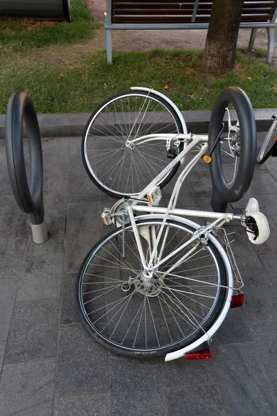 Una Bicicleta Vehículo Ruedas Conducido Por Fuerza Muscular Una Persona — Foto de Stock