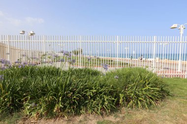 Çit - başkasının toprakları korumak için hizmet vermektedir bir yapı. 