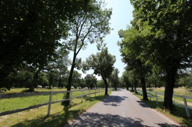 Çit - başkasının toprakları korumak için hizmet vermektedir bir yapı. 