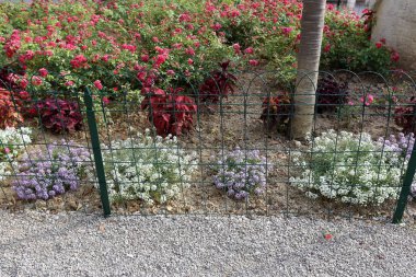 Çit - başkasının toprakları korumak için hizmet vermektedir bir yapı. 