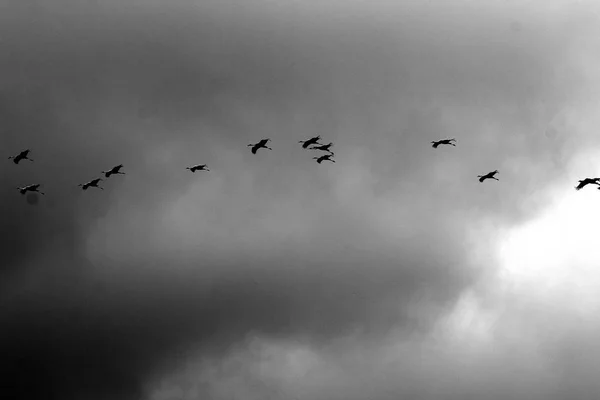 季節や 天気の時間に依存する型と空の色 — ストック写真