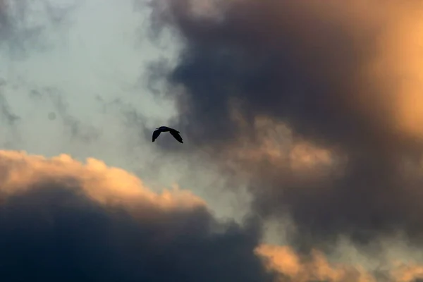 Typ Och Färg Himlen Beror Vilken Tid Dagen Säsongen Och — Stockfoto