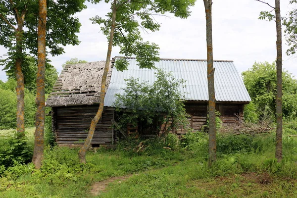 Старий Зруйнований Будинок Білоруського Села — стокове фото