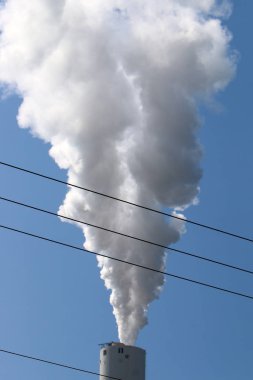 Bir şey yanma tarafından oluşan gazlar içinde küçük katı parçacıkları, duman oluşur 