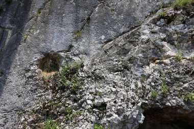 Taş dokusuna kadar malzeme öğeleri baskın yönünü olduğunu. 