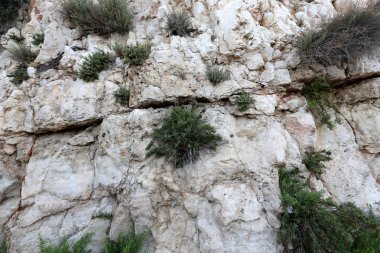 Taş dokusuna kadar malzeme öğeleri baskın yönünü olduğunu. 