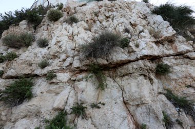 Taş dokusuna kadar malzeme öğeleri baskın yönünü olduğunu. 