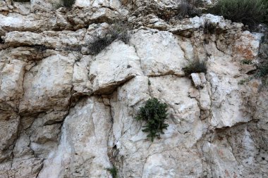 Taş dokusuna kadar malzeme öğeleri baskın yönünü olduğunu. 