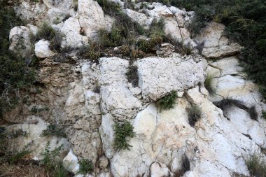 Taş dokusuna kadar malzeme öğeleri baskın yönünü olduğunu. 