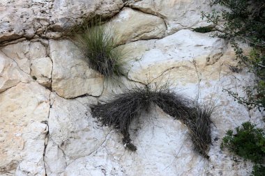 Taş dokusuna kadar malzeme öğeleri baskın yönünü olduğunu. 