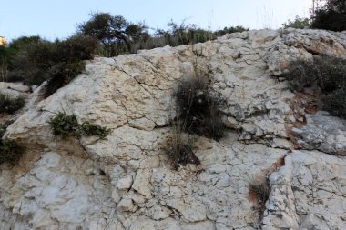Taş dokusuna kadar malzeme öğeleri baskın yönünü olduğunu. 