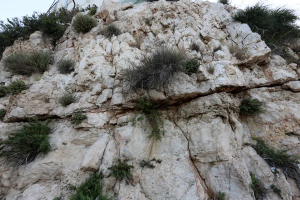 Taş dokusuna kadar malzeme öğeleri baskın yönünü olduğunu. 