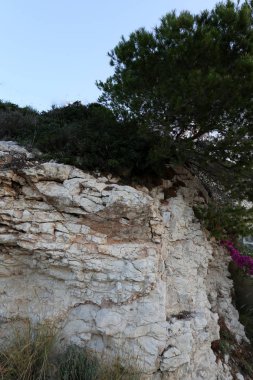 Taş dokusuna kadar malzeme öğeleri baskın yönünü olduğunu. 