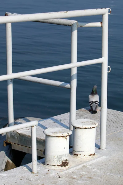 Poste Amarrage Est Endroit Spécialement Équipé Près Rivage Pour Les — Photo