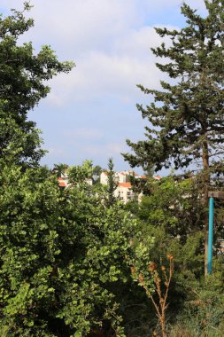 İsrail'in kuzeyinde küçük bir şehirde manzara 