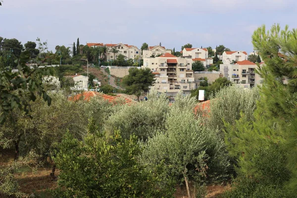 Landschaft Einer Kleinen Stadt Norden Von Israel — Stockfoto