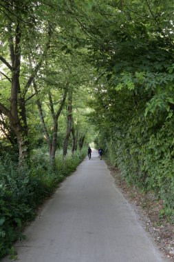 Yol - yol-in iletişim insanlar ve taşınması için 