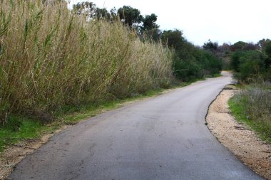 Yol - yol-in iletişim insanlar ve taşınması için 