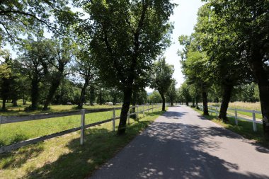 Yol - yol-in iletişim insanlar ve taşınması için 