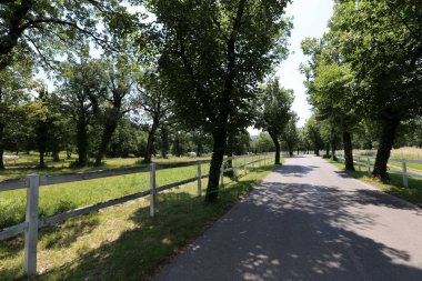 Yol - yol-in iletişim insanlar ve taşınması için 