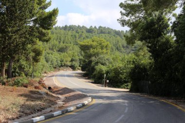 Yol - yol-in iletişim insanlar ve taşınması için 