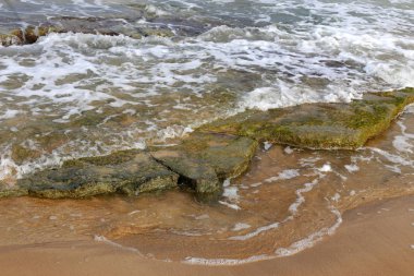 İsrail 'in kuzeyindeki Akdeniz kıyısında. 