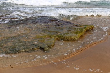 İsrail 'in kuzeyindeki Akdeniz kıyısında. 