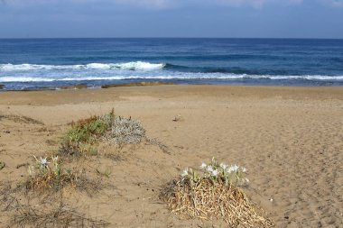 İsrail 'in kuzeyindeki Akdeniz kıyısında. 
