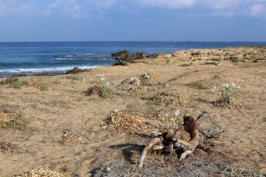 İsrail 'in kuzeyindeki Akdeniz kıyısında. 