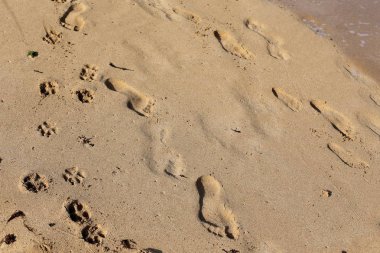 Kumdaki Kuzey İsrail ' Akdeniz'in kıyısında 