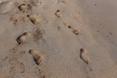 Kumdaki Kuzey İsrail ' Akdeniz'in kıyısında 